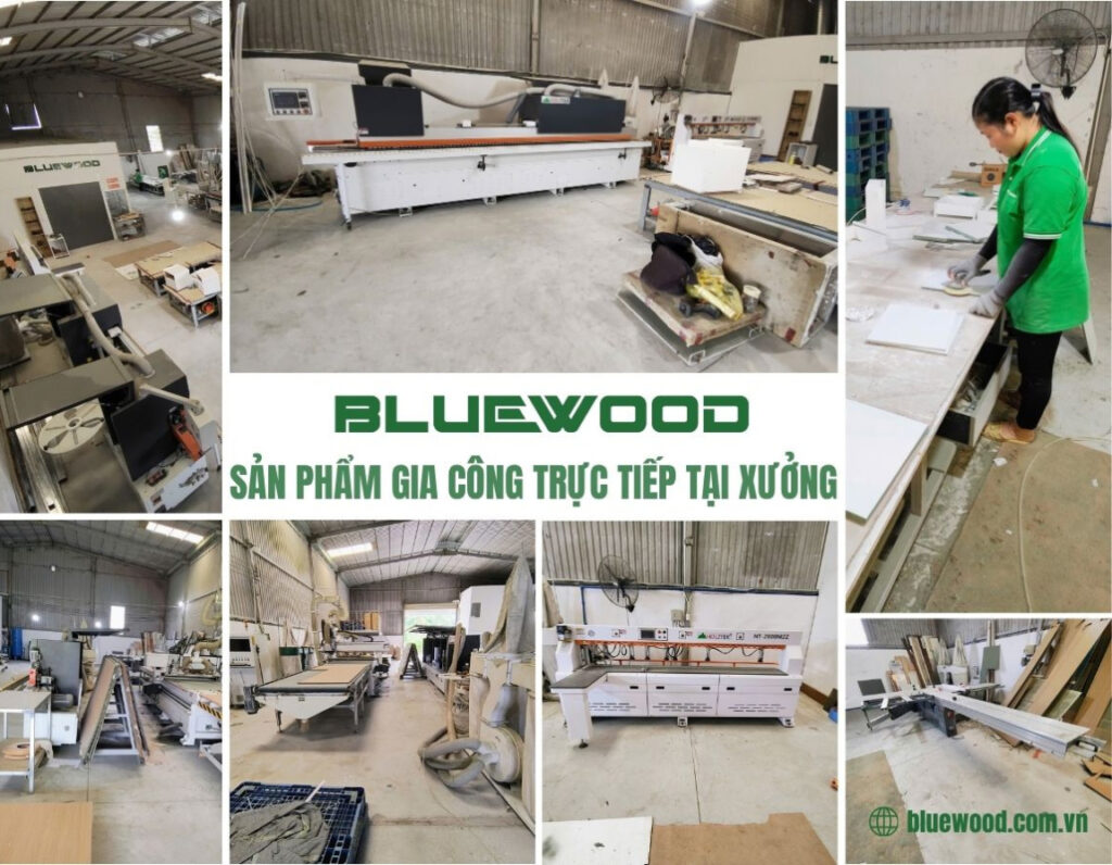 Nội thất BLUEWOOD